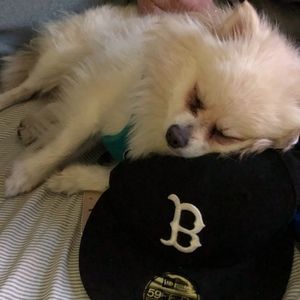 Meet your Posher, Becky